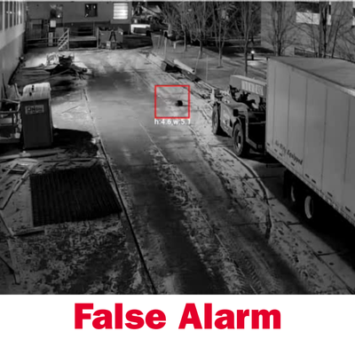 Cat fighting false alarm