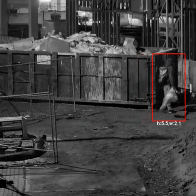 Person on camera about to dumpster dive
